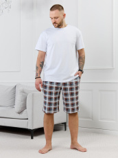 Изображение товара «Мужские шорты из кулирки «Тор-2.1 [клетка разноцветная]» арт 89473» из магазина «Ивановский-Текстиль.РФ»