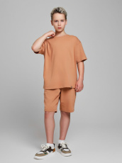 Изображение товара «Костюм для мальчика (футболка+шорты) из кулирки «Азарт-2 [коричневый]» арт 84985» из магазина «Ивановский-Текстиль.РФ»