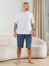 Изображение товара «Мужские шорты из кулирки «Тор-2 [клетка синяя]» арт 86740» из магазина «Ивановский-Текстиль.РФ»
