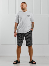 Изображение товара «Мужской костюм (футболка+шорты) из кулирки «Реванш-2 [белый]» арт 87103» из магазина «Ивановский-Текстиль.РФ»