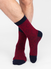 Изображение товара «Набор мужских носков (5 пар) «С2517 [красный]» арт 85288» из магазина «Ивановский-Текстиль.РФ»