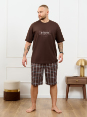 Изображение товара «Мужской костюм (футболка+шорты) из кулирки «Браун-4 [коричневый]» арт 87337» из магазина «Ивановский-Текстиль.РФ»