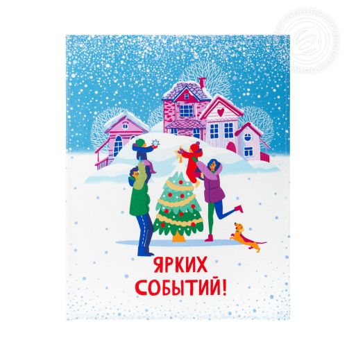 Изображение товара «Набор кухонных полотенец из рогожки «Зимние каникулы» арт 63486» из магазина «Ивановский-Текстиль.РФ»