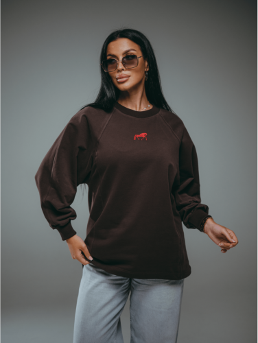 Изображение товара «Женский свитшот из футера 2х нитки пенье фирча «Символ [шоколад]» арт 86789» из магазина «Ивановский-Текстиль.РФ»