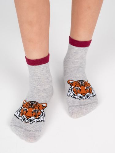 Изображение товара «Набор детских носков (5 пар) «С1752 [ассорти]» арт 74777» из магазина «Ивановский-Текстиль.РФ»