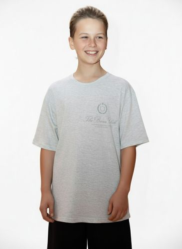 Изображение товара «Футболка для мальчика из кулирки «Успех-8.1 [кармеланж]» арт 85539» из магазина «Ивановский-Текстиль.РФ»